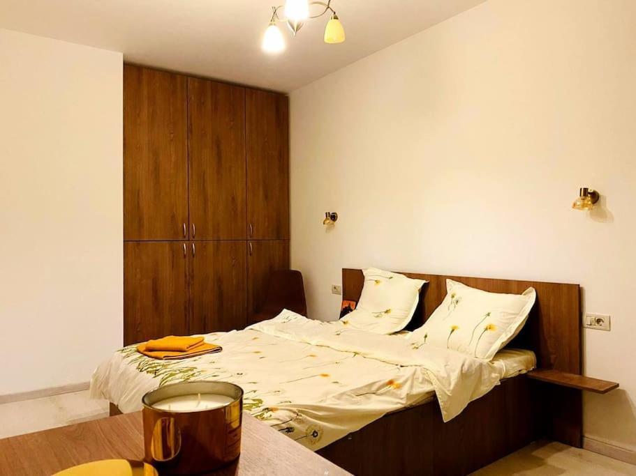 Luxury Apartment Arad Exterior photo